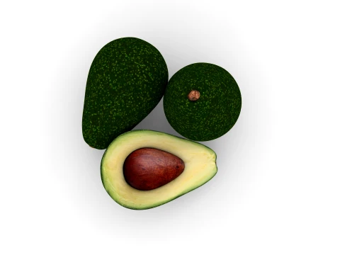 Avocado 3D Model