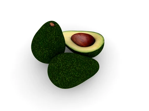 Avocado 3D Model
