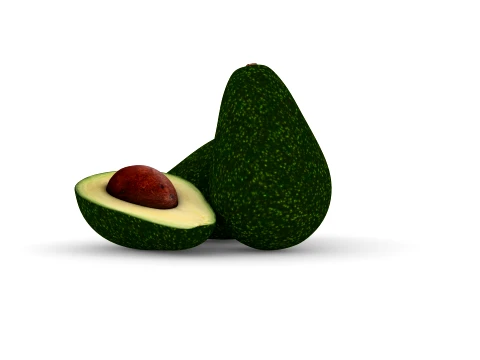 Avocado 3D Model
