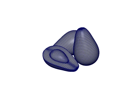 Avocado 3D Model