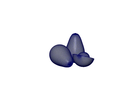 Avocado 3D Model