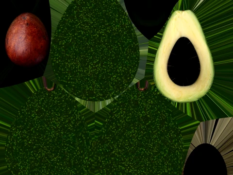Avocado 3D Model