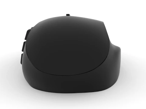 Mouse 3D Model