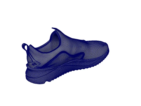 Shoes 3D Model