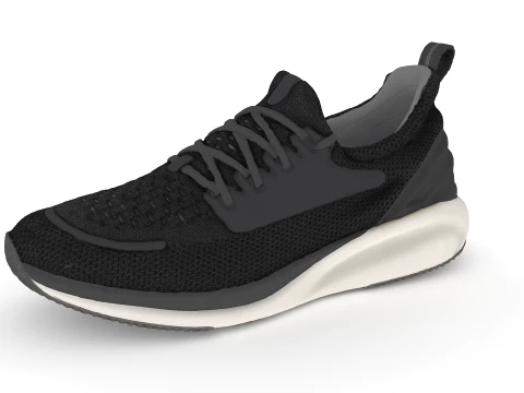 Shoes 3D Model