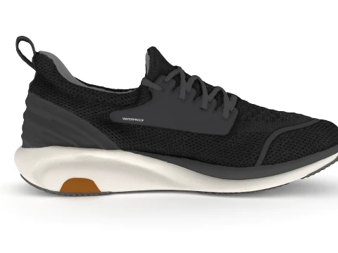 Shoes 3D Model