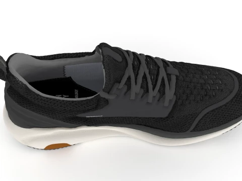 Shoes 3D Model