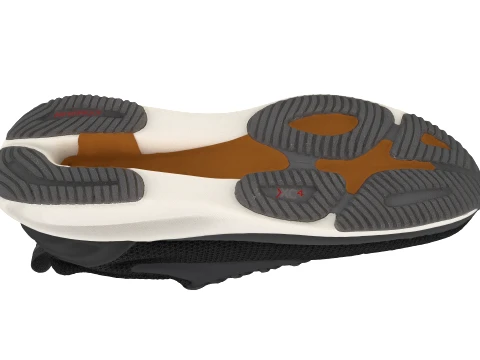 Shoes 3D Model