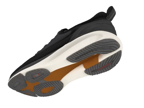 Shoes 3D Model