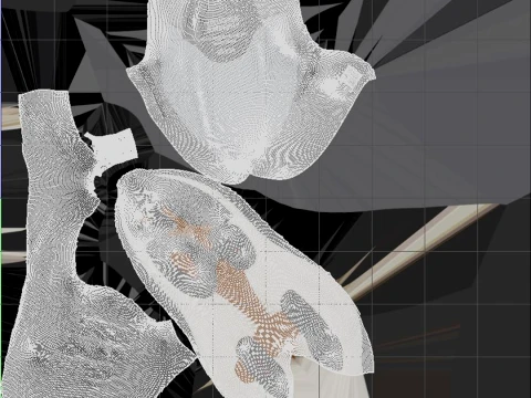 Shoes 3D Model