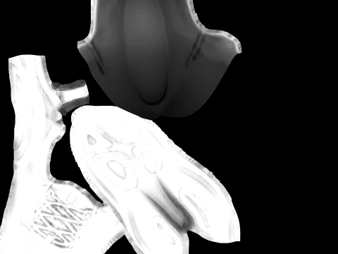 Shoes 3D Model