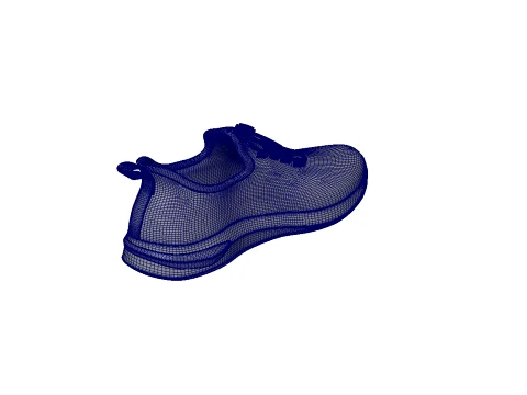 Shoes 3D Model