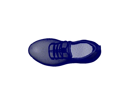 Shoes 3D Model