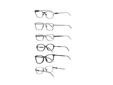 Spectacle collection 3D Model