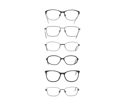 Spectacle collection 3D Model