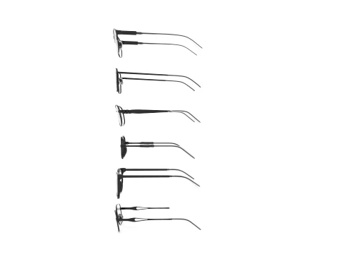 Spectacle collection 3D Model