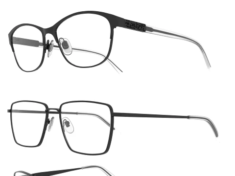 Spectacle collection 3D Model