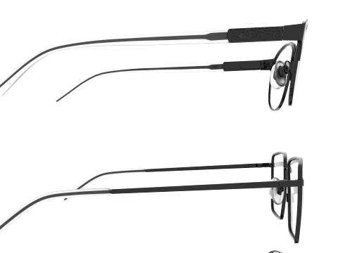 Spectacle collection 3D Model