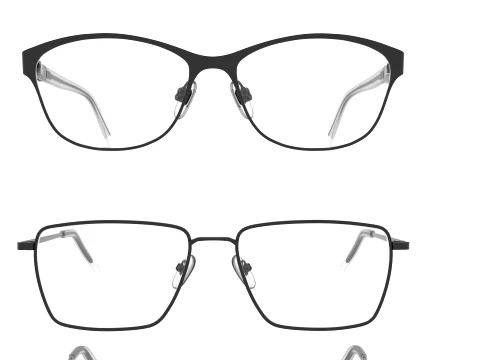 Spectacle collection 3D Model