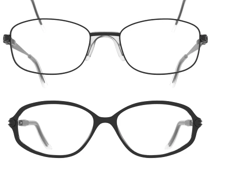 Spectacle collection 3D Model