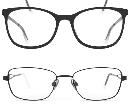 Spectacle collection 3D Model