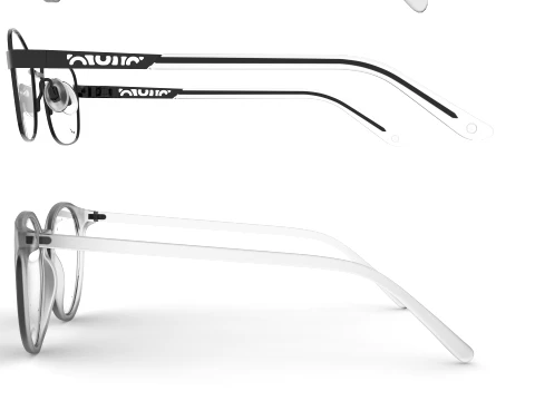 Spectacle collection 3D Model