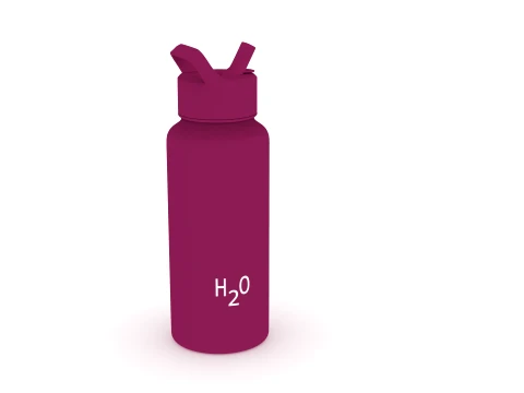Water bottle 3D Model