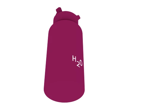 Water bottle 3D Model