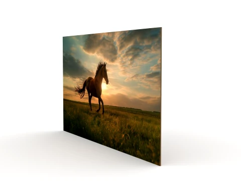 Wall Painting 3D Model