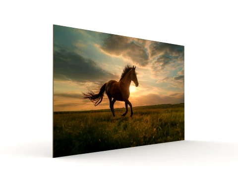Wall Painting 3D Model