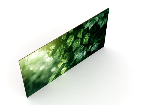 Wall Painting 3D Model