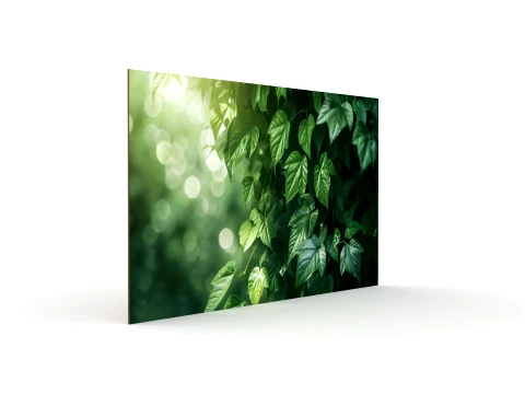 Wall Painting 3D Model