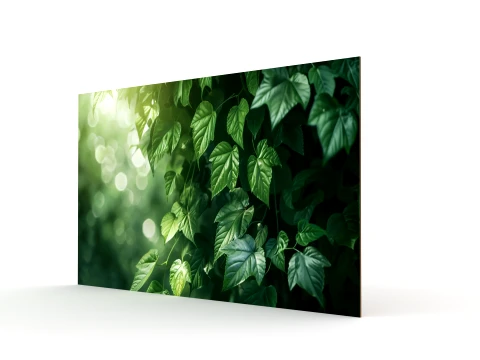 Wall Painting 3D Model