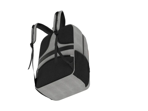 Backpack bag baggage 3D Model