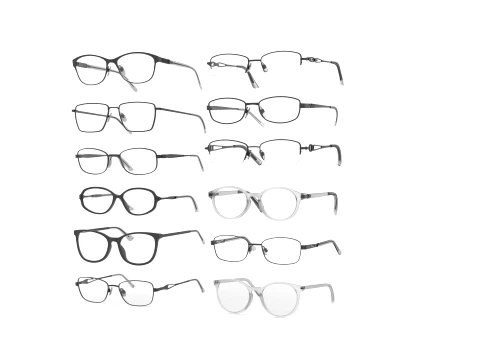 Spectacles Collection 3D Модель