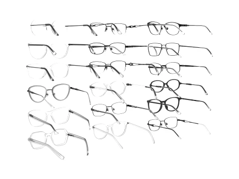 Spectacles Collection 3D Model