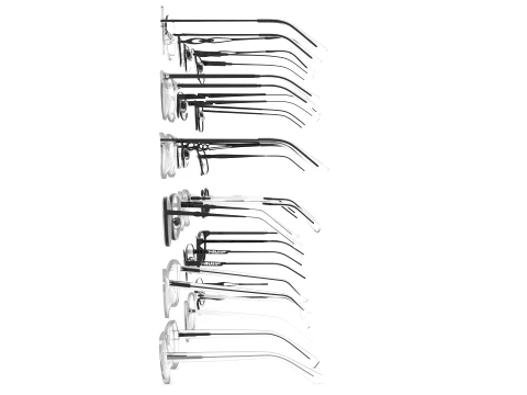 Spectacles Collection 3D Model