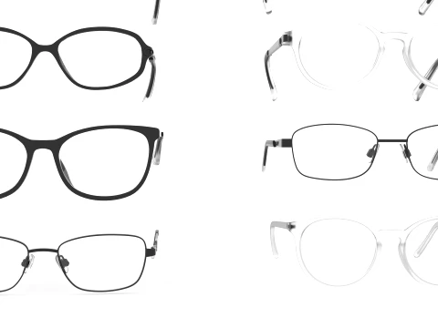 Spectacles Collection 3D Model
