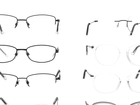 Spectacles Collection 3D Model