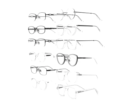 Spectacles Collection 3D Model
