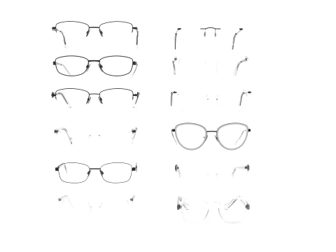 Spectacles Collection 3D Model