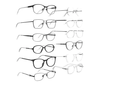 Spectacles Collection Model 3D
