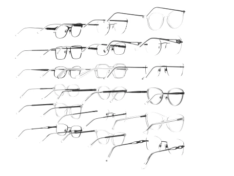 Spectacles Collection 3D Model