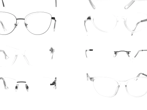 Spectacles Collection 3D Model