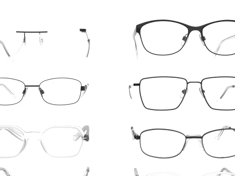 Spectacles Collection 3D Model
