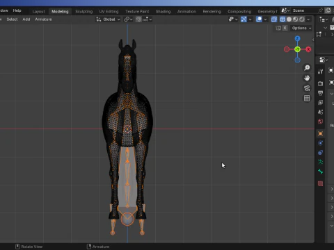 At Armalı D&uuml;ş&uuml;k Poli 3D Model