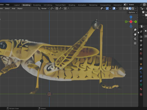 &Ccedil;ekirge-D&uuml;ş&uuml;k Poli 3D Model