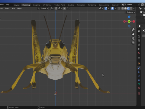 Grasshopper-Low-Poly 3D Model