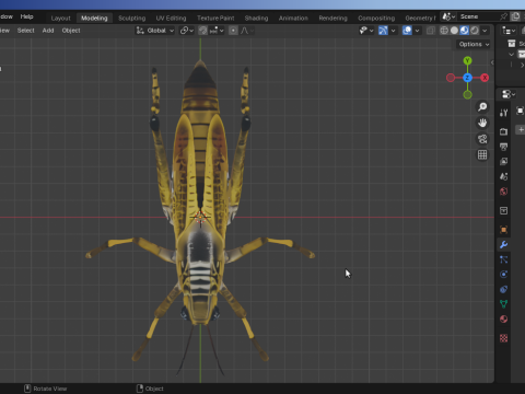 Grasshopper-Low-Poly 3D Model