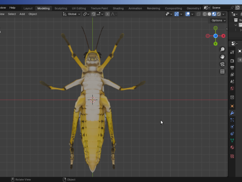 Grasshopper-Low-Poly 3D Model
